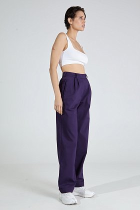 Фото модной одежды - элль брюки с рамками фиолетовый сезон 2020 года